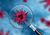 ظهور سویه جدید ویروس کرونا در کمتر از ۶ ماه