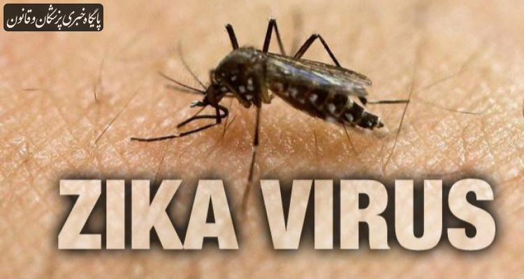 هشدار جهانی نسبت به شیوع انفجاری ویروس زیکا