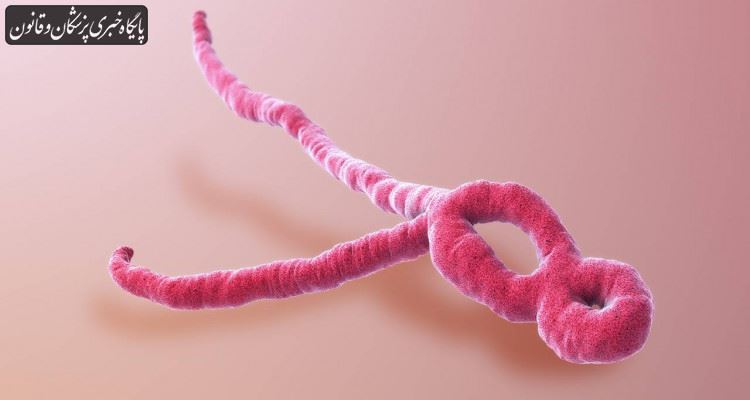 شیوع ویروس ابولا در کنگو