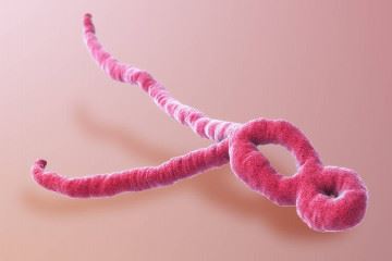 شیوع ویروس ابولا در کنگو