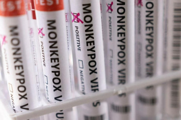 موارد رسمی از شیوع آبله میمون در ایران نداریم