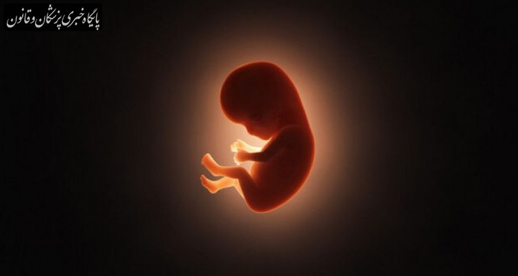 سقط غیرقانونی سالانه ۳۷۰ هزار جنین در کشور