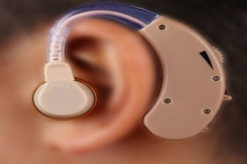 کمتر از بیست درصد بودجه کاشت حلزون تخصیص یافته است