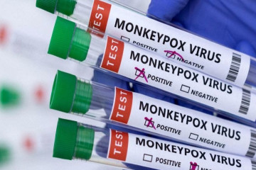 تا کنون مورد اثبات شده‌ای از آبله میمونی شناسایی نشده است