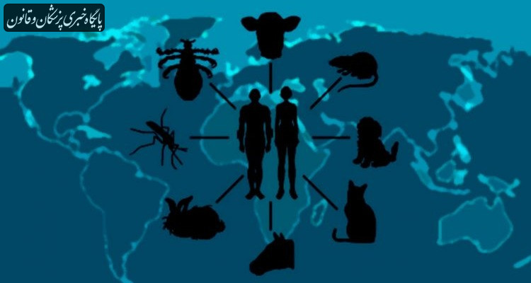 ۲۰۰ نوع بیماری زئونوز در دنیا شناسایی شده است
