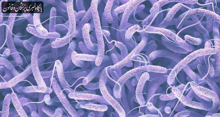 ابتلای ۶۲ نفر به بیماری وبا در سال جاری