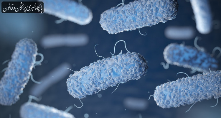 تا کنون ۶۳ مورد ابتلا به وبا در کشور گزارش شده است