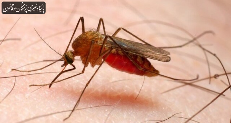 آخرین وضعیت اخذ گواهی حذف بیماری مالاریا از کشور