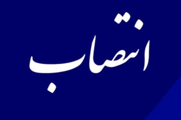 قائم مقام هیات مدیره نظام پزشکی تهران بزرگ منصوب شد