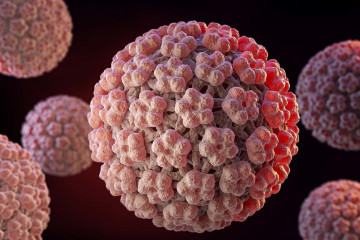 افزایش آمار ابتلا به ویروس HPV