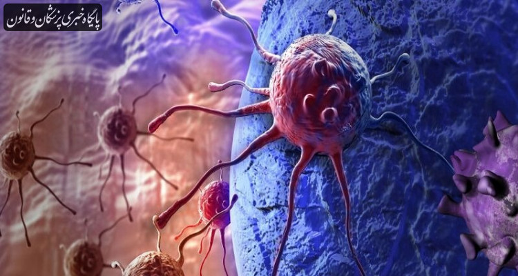 توسعه ترکیب ایمنی‌ درمانی جدید برای سرطان کبد