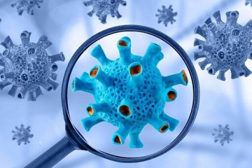 یک نوع جدید از ویروس کرونا زیر ذره‌بین WHO و CDC آمریکا