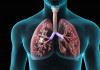 دستگاهی که به پزشکان کمک می کند ریه مناسب برای پیوند را انتخاب کنند