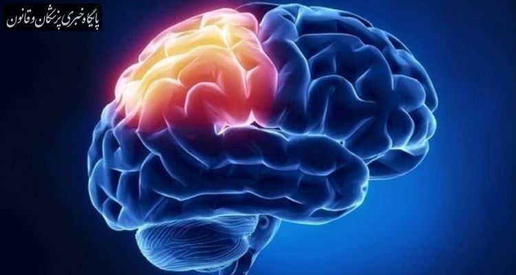 روشی تازه برای تشخیص و درمان به موقع سرطان مغز