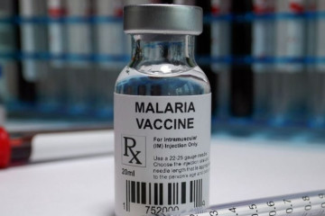 تائید واکسن ارزان مالاریا از سوی سازمان جهانی بهداشت