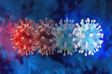 ویروس‌ها چگونه وارد بدن می‌شوند؟
