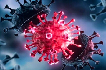 شناسایی اولین مورد ابتلای انسانی به زیرسویه جدید آنفلوآنزا در انگلیس
