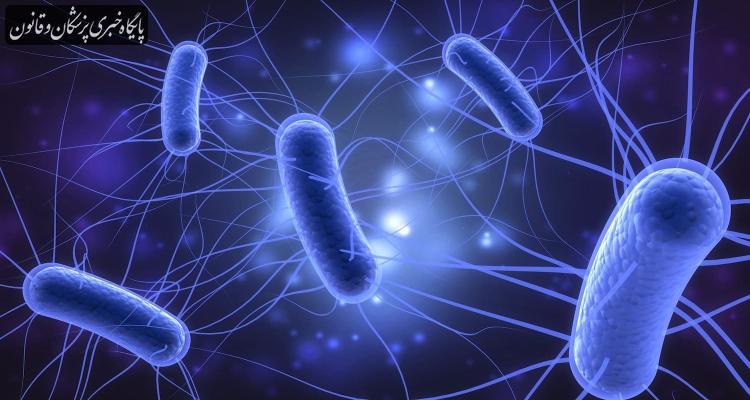 هشدار آمریکا در مورد شیوع باکتری "اشریشیا کلی"