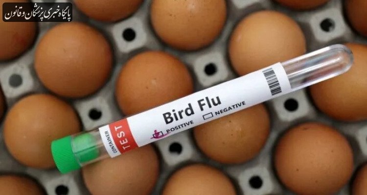 ابراز نگرانی سازمان جهانی بهداشت نسبت به گسترش آنفلوآنزای پرندگان در بین انسان‌ها