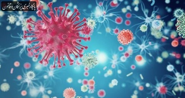 هشدار دانشمندان: همه‌گیری بعدی احتمالا از ویروس آنفلوانزا ایجاد می‌شود