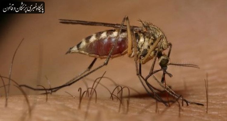 روند ابتلا به مالاریا در کشور افزایشی است