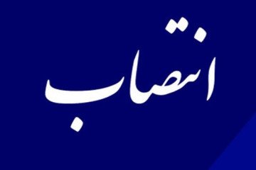 معاون جدید انتظامی نظام پزشکی منصوب شد