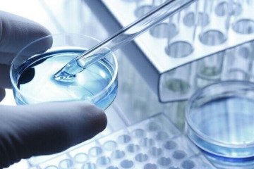 کشف قطعه مفقوده برای خوداحیایی سلول بنیادی خون