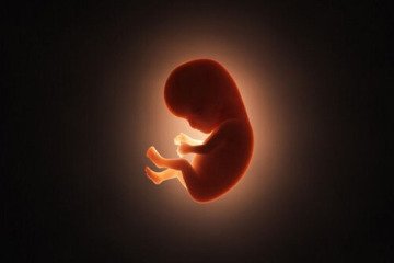 افزایش ثبت درخواست مجوز سقط‌ قانونی