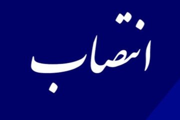 رئیس سه جشنواره حوزه آموزش پزشکی منصوب شد
