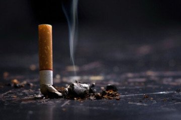سیاست ثابت نگه‌داشتن نرخ دخانیات باید اصلاح شود