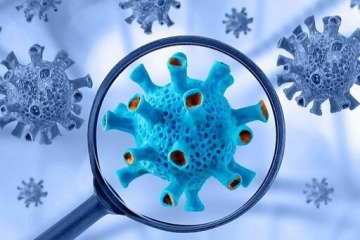 «متاپنوموویروس انسانی» چیست؟