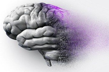 آلودگی هوا روی عملکرد مغز و سایر سیستم‌های بدن تاثیر می‌گذارد