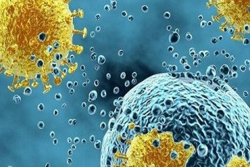 «ویروس جدید چینی» چیست و آیا در ایران مشاهده شده است؟