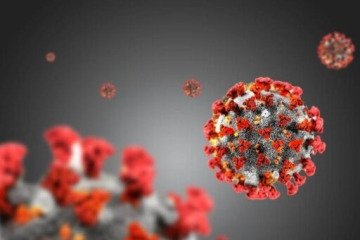 اظهارنظر سازمان جهانی بهداشت درباره شیوع اخیر یک ویروس در چین