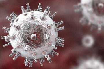 تجدید خاطرات تلخ کرونا با دروغ ترسناک ویروس چینی جدید