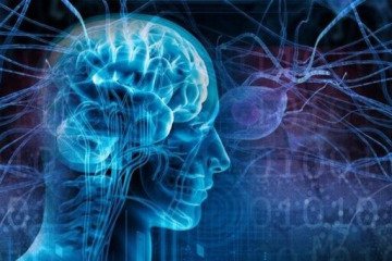 شیوع صرع در اصفهان فراتر از میانگین جهانی