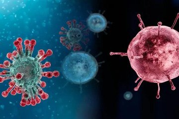 احتمال موج کوچکی از بیماری آنفلوآنزا در ابتدای فصل بهار