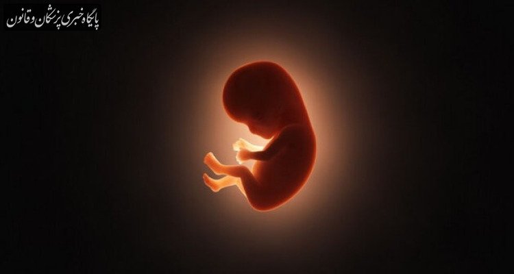 پویش «نفس» جان ۱۵ هزار جنین را نجات داد پویش «نفس» جان ۱۵ هزار جنین را نجات داد
