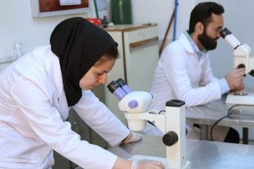 اعلام ظرفیت پذیرش دکتری پژوهشی و فناوری محور گروه علوم پزشکی سال ۱۴۰۴