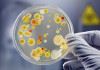 رویکرد جدیدی برای نابودی عفونت‌های قارچی مقاوم به آنتی‌بیوتیک