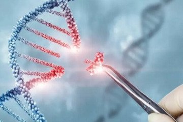ویرایش ژن، امیدی تازه برای درمان دیابت نوع یک
