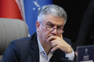 اگر منابع فراهم شود طرح پزشک خانواده کاملا اجرایی است