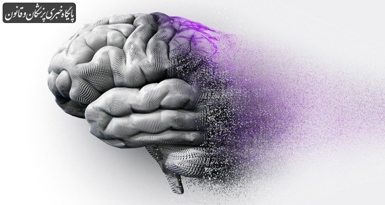 آلزایمر با درمان زودهنگام قابل کنترل است آلزایمر با درمان زودهنگام قابل کنترل است