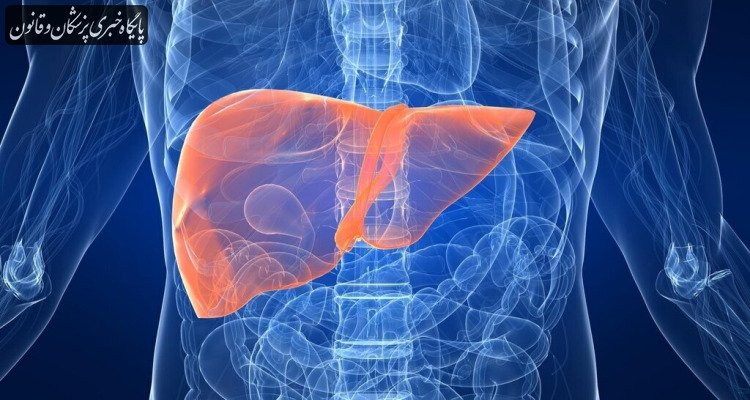 کبد چرب تبدیل به یک همه‌گیری جهانی شده است