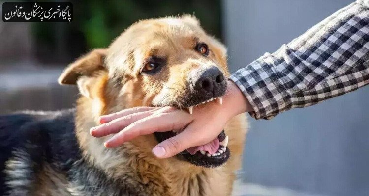 ضرورت هماهنگی بین‌بخشی برای کنترل بیماری هاری در کشور