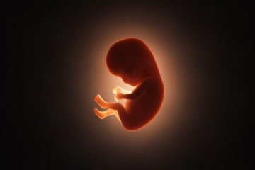 سقط جنین در جامعه به امری عادی تبدیل شده است