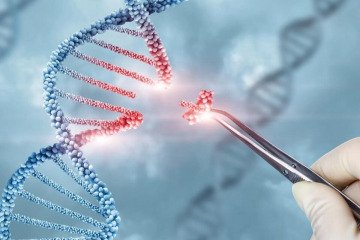 مسیر قانونی سلول و ژن درمانی هموار شد