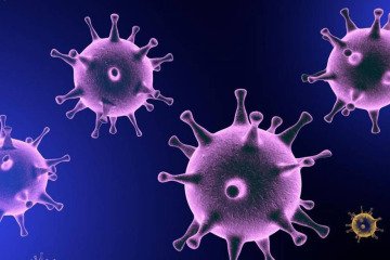 کرونای تیغی در کشور شیوع یافته است