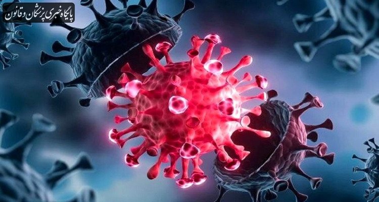 دوسویه اصلی در حال گردش جهانی، «استراتوس» و «نیمبوس» هستند