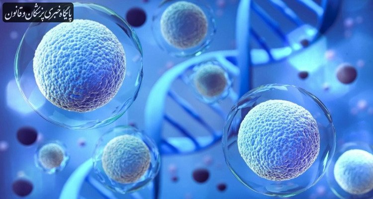 بازار سلول‌درمانی کشور در اختیار شرکت‌های دارای مجوز
